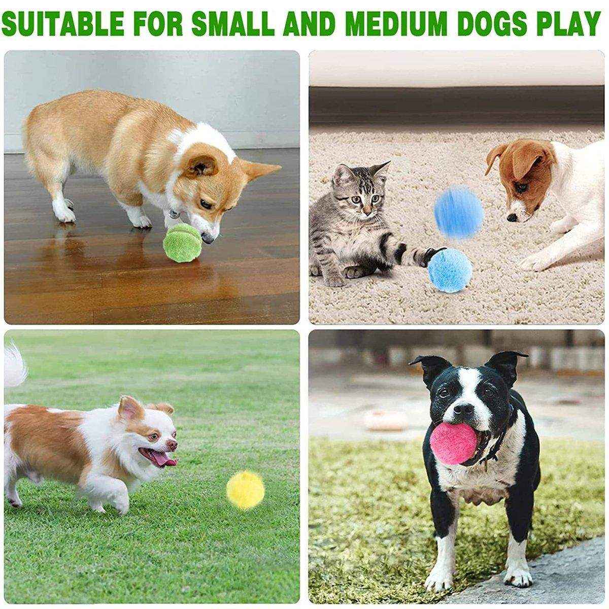 Interactive Pet Magic Roller Ball Toy Keeps Your Pets Engaged - Image 4