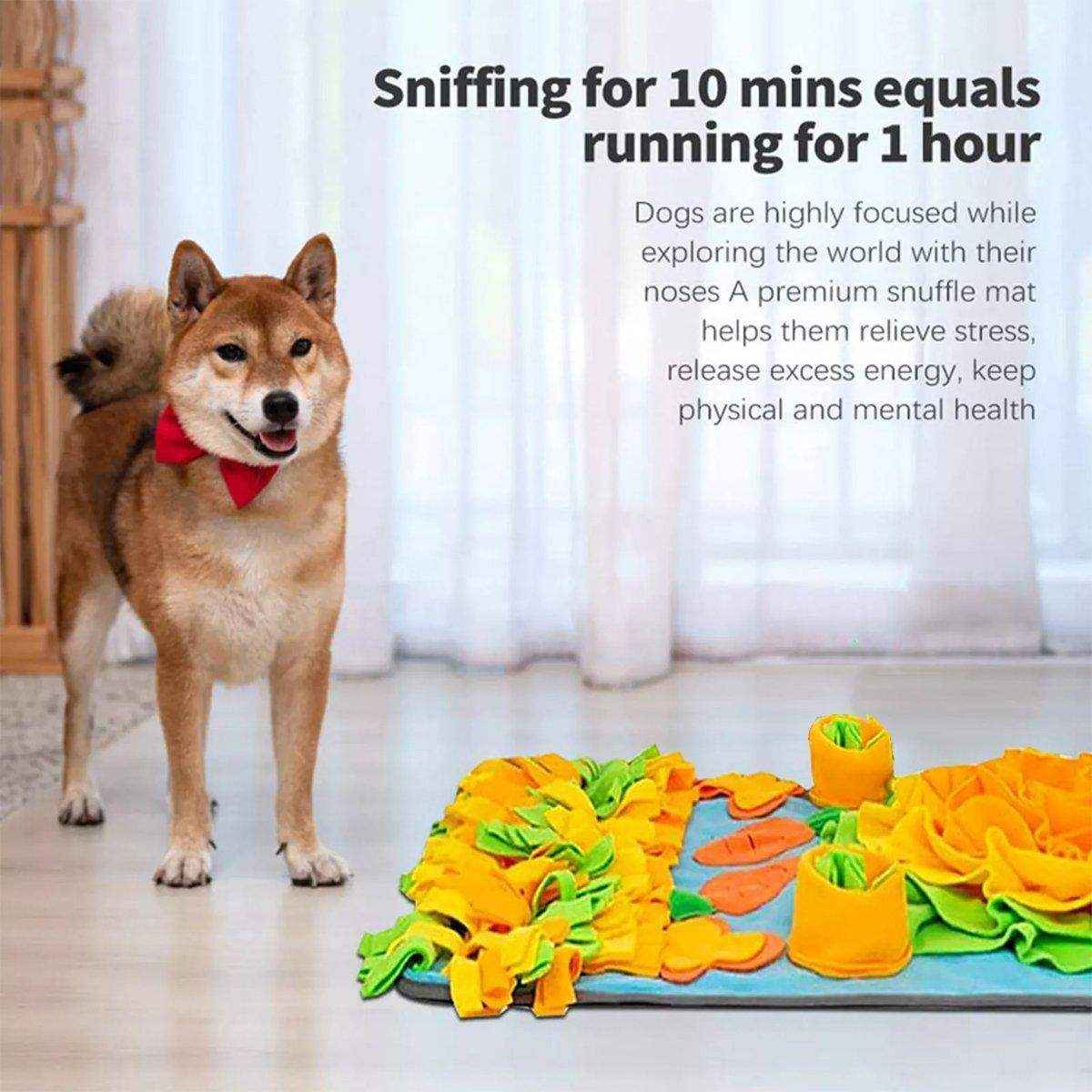 Interactive Pet Sniff Mat Dog Snuffle Toys for Slow Feeding and Mental Stimulation - Image 4