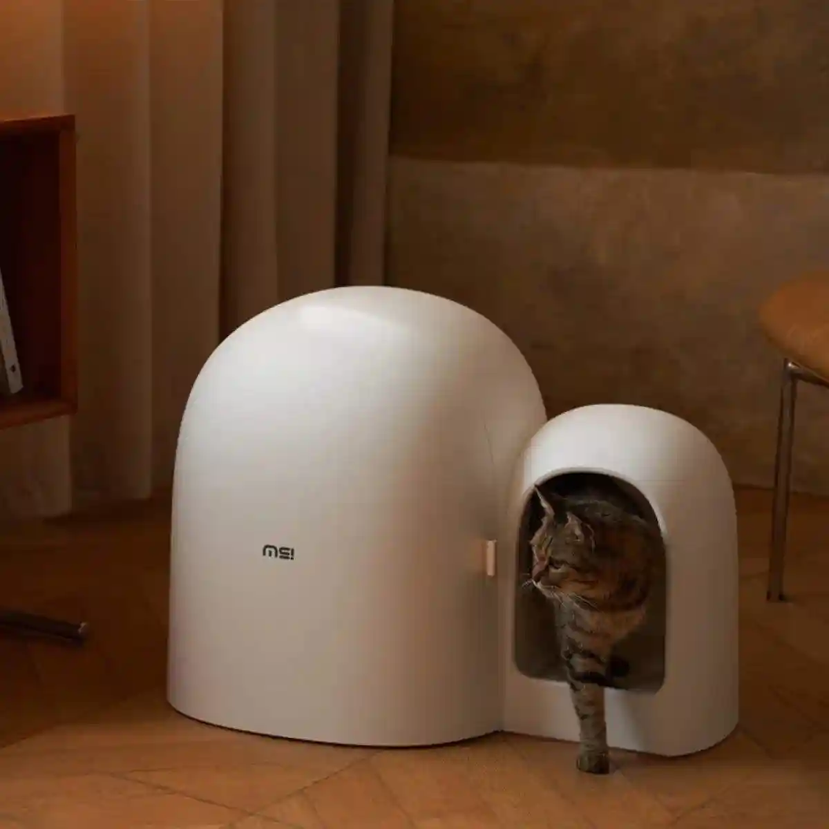 Kitty Litter Box Cat Litter Box MAX Spacious & Eco-Friendly - Image 19