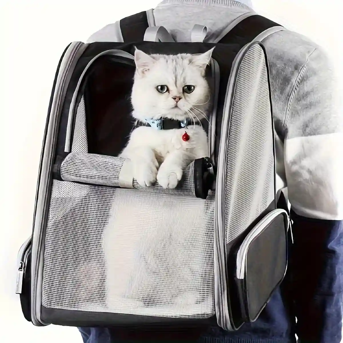 Large Foldable Breathable Portable Cat Dog Bag Pet Backpack - Image 3