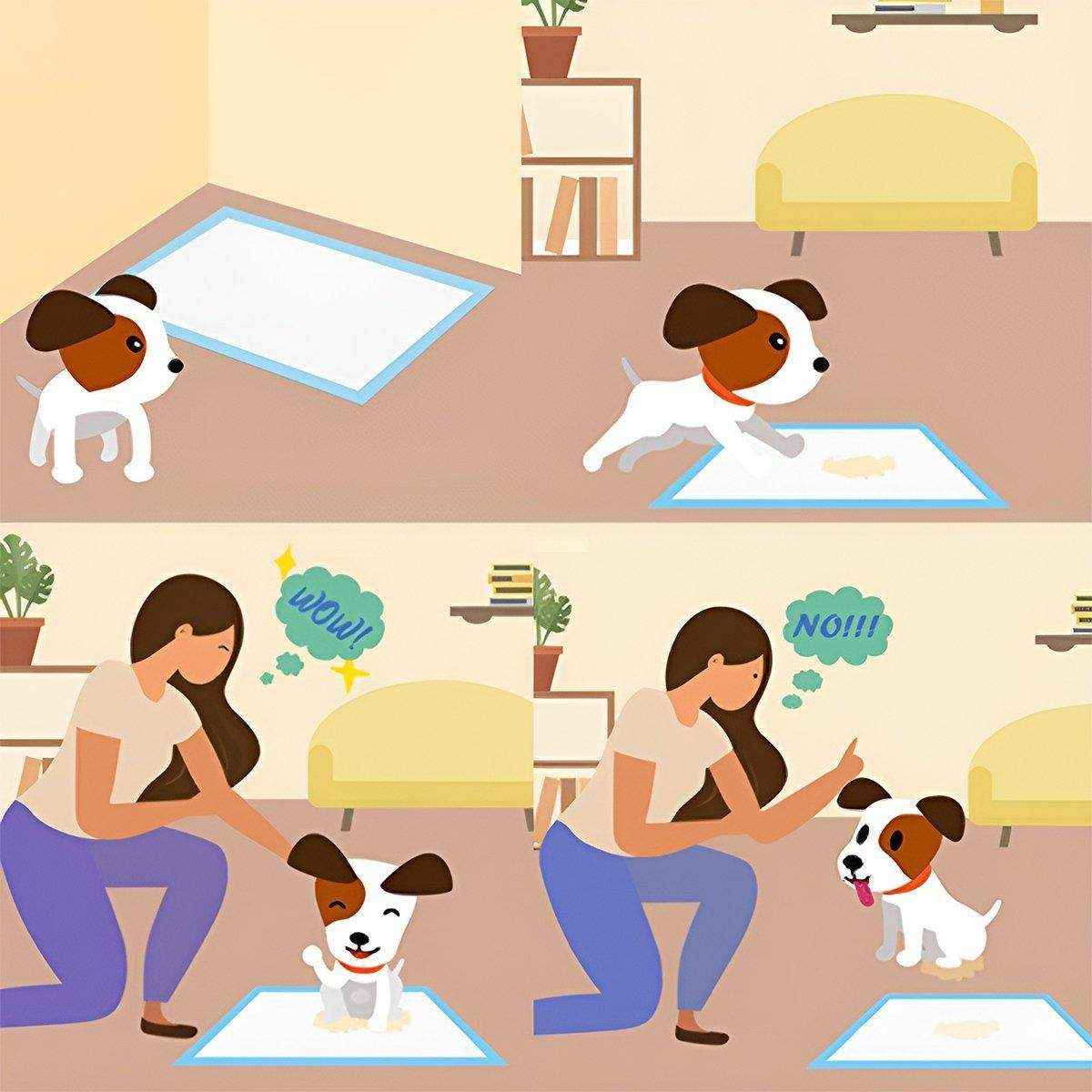 Large Puppy Dog Training Pee Pads - Image 13
