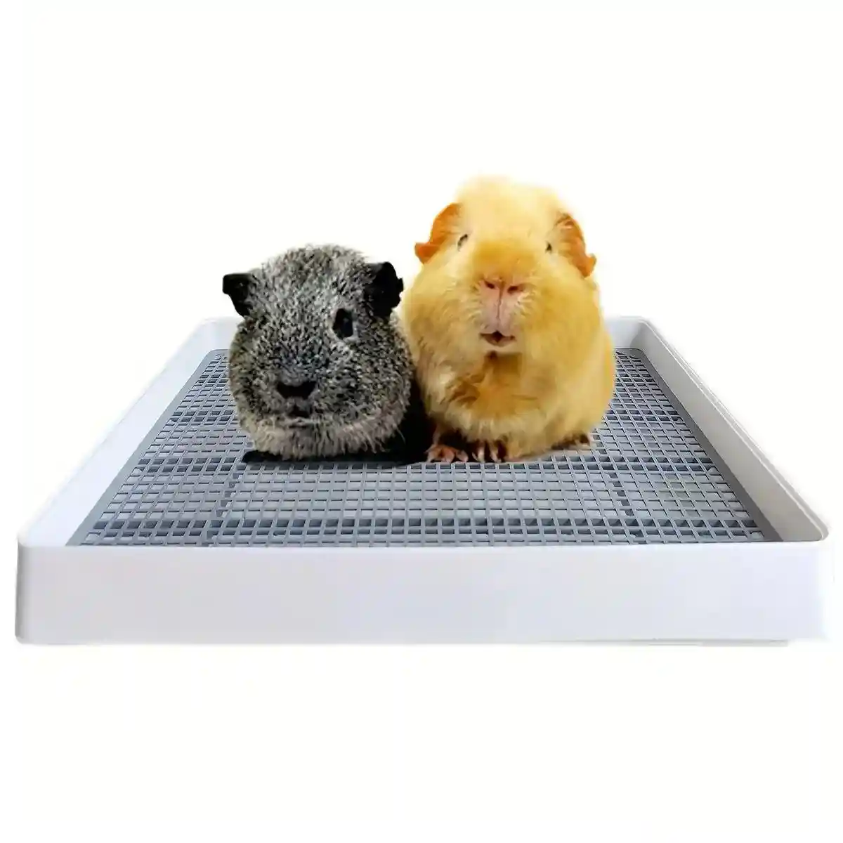 Large Rabbit Litter Box with High-Sided Design - Image 2