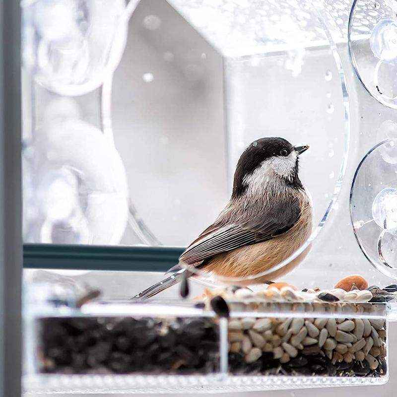 Large Window Bird Feeder 20.5*15*21.5cm - Image 5