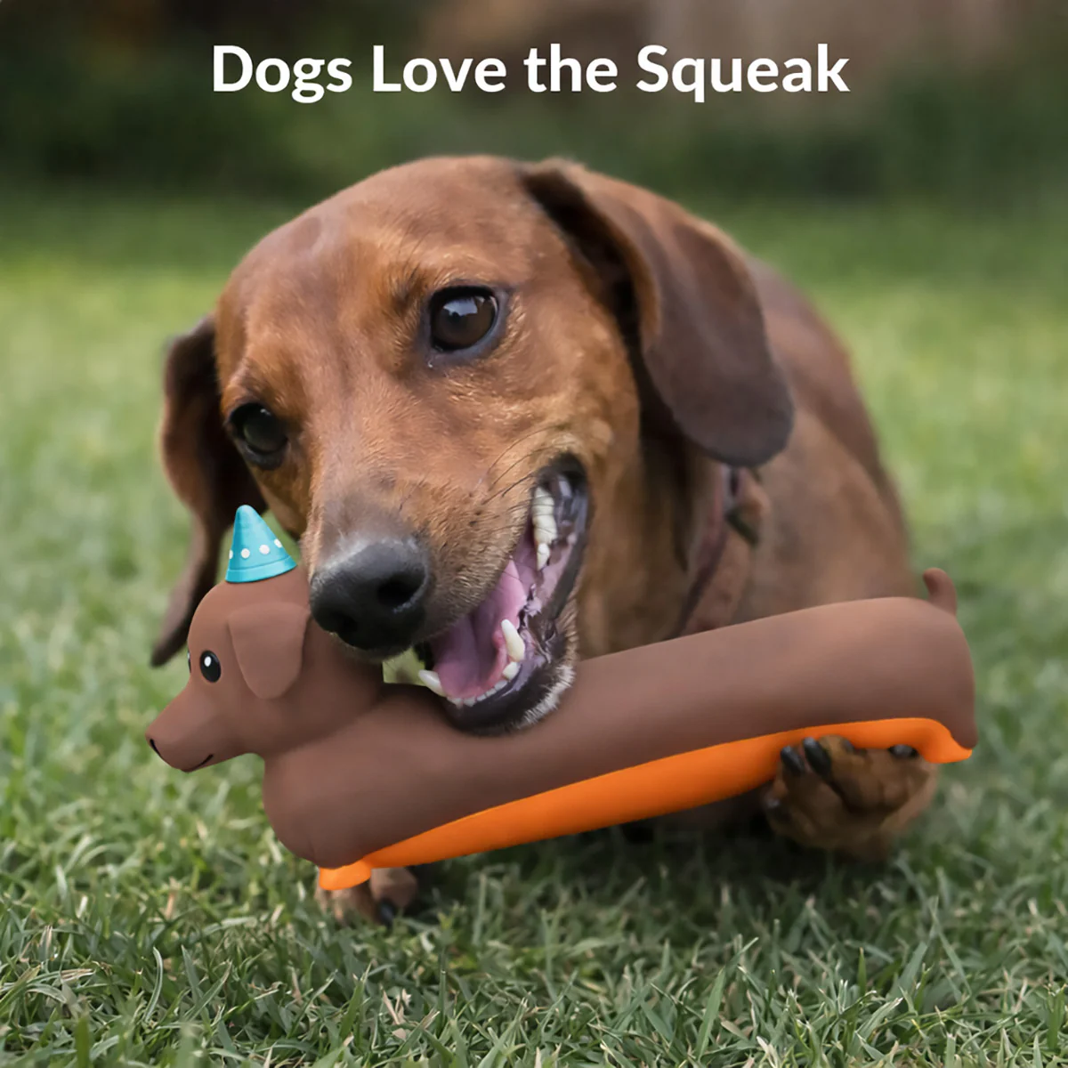 Latex Squeaky Dog Toy Dachshund Design - Image 6