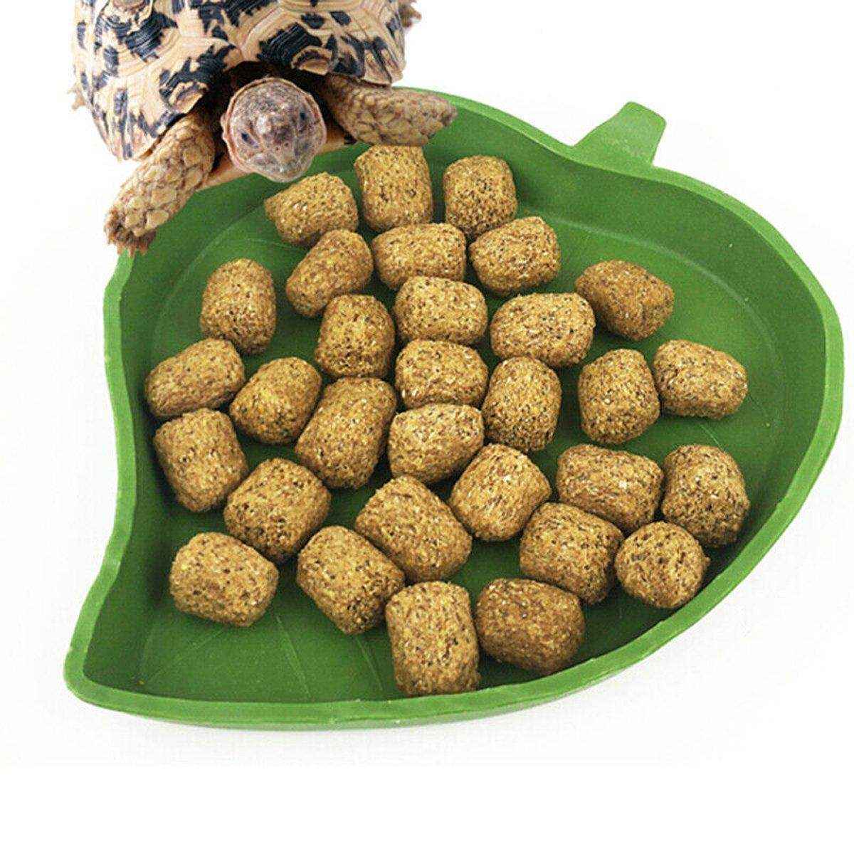 Reptile Feeding Dish Reptile Water Bowl - Image 11