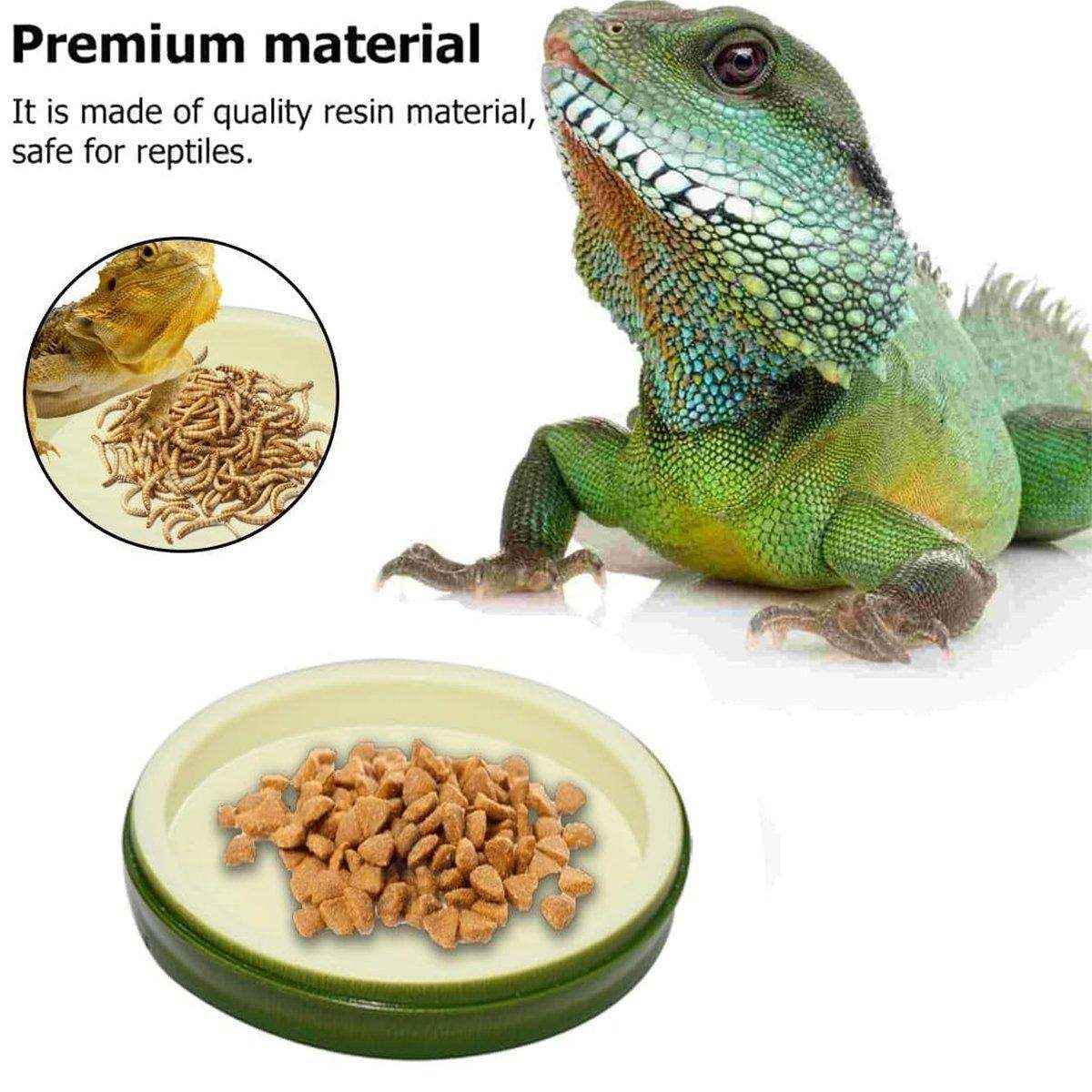 Reptile Feeding Dish Reptile Water Bowl - Image 12