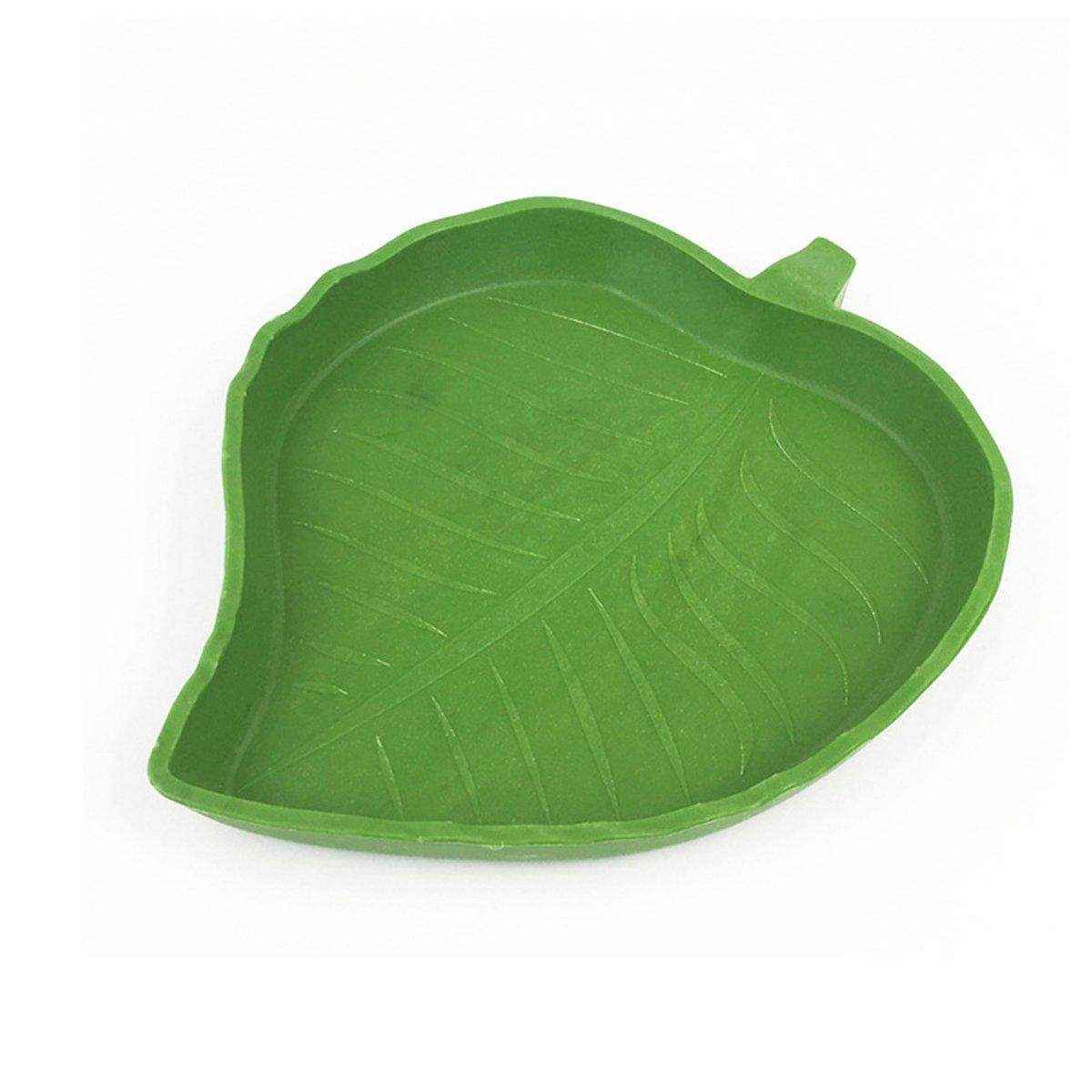 Reptile Feeding Dish Reptile Water Bowl - Image 16