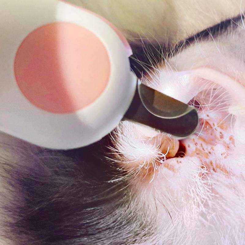 LED Pet Nail Clippers with Light - Safe & Precise Dog and Cat Clippers - Image 7