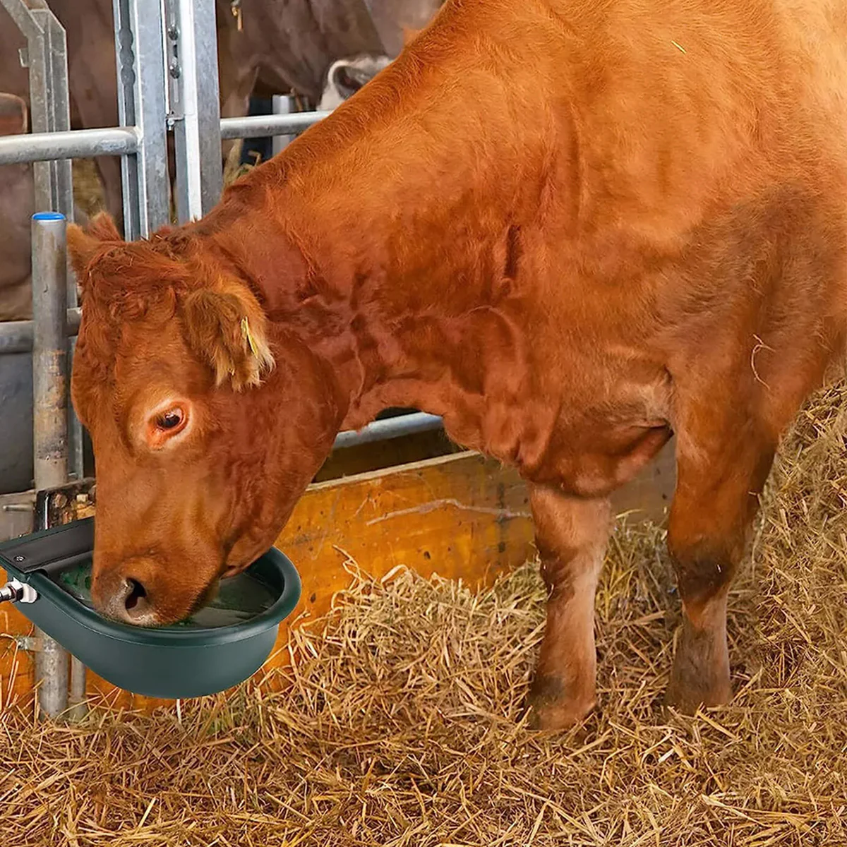 Livestock Water Bowl Cattle Waterer Sheep Horse Drinking Bowl Automatic Feeder - Image 4
