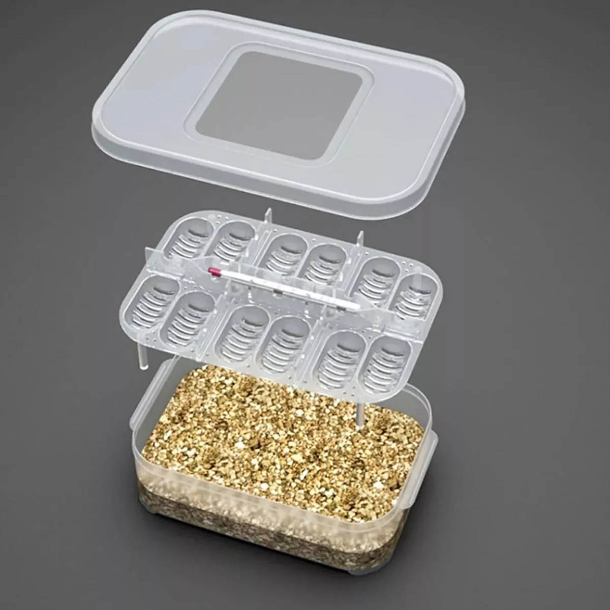 Lizard Hatching Box 12 Holes Reptile Egg Incubator - Image 13