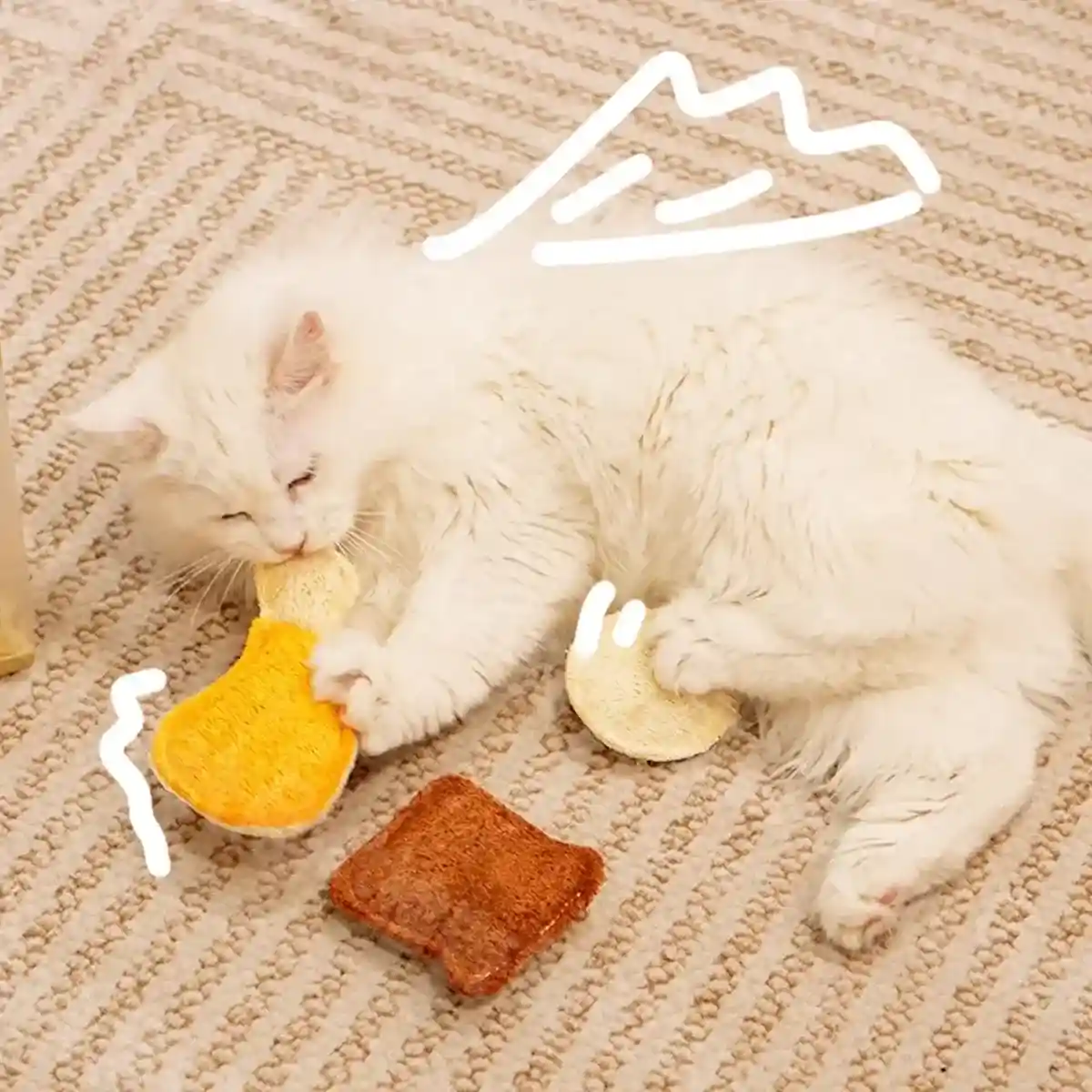 Natural Loofah Cat Toy Set with Catnip 3PCS Bite-Safe Chew Toys - Image 14