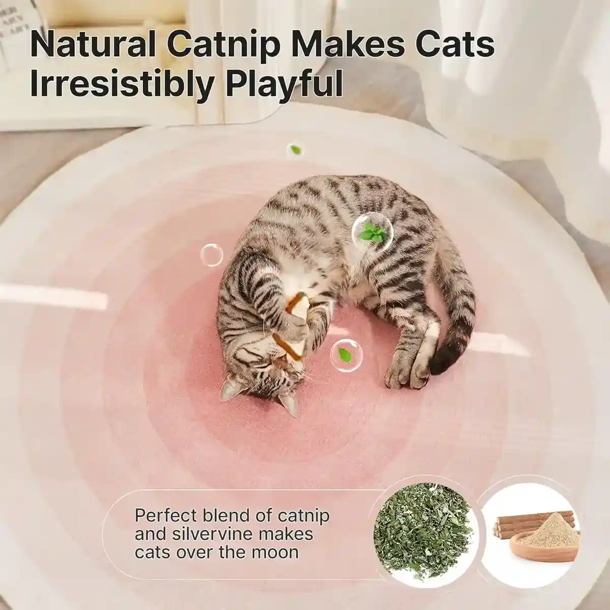 Natural Loofah Cat Toy Set with Catnip 3PCS Bite-Safe Chew Toys - Image 5