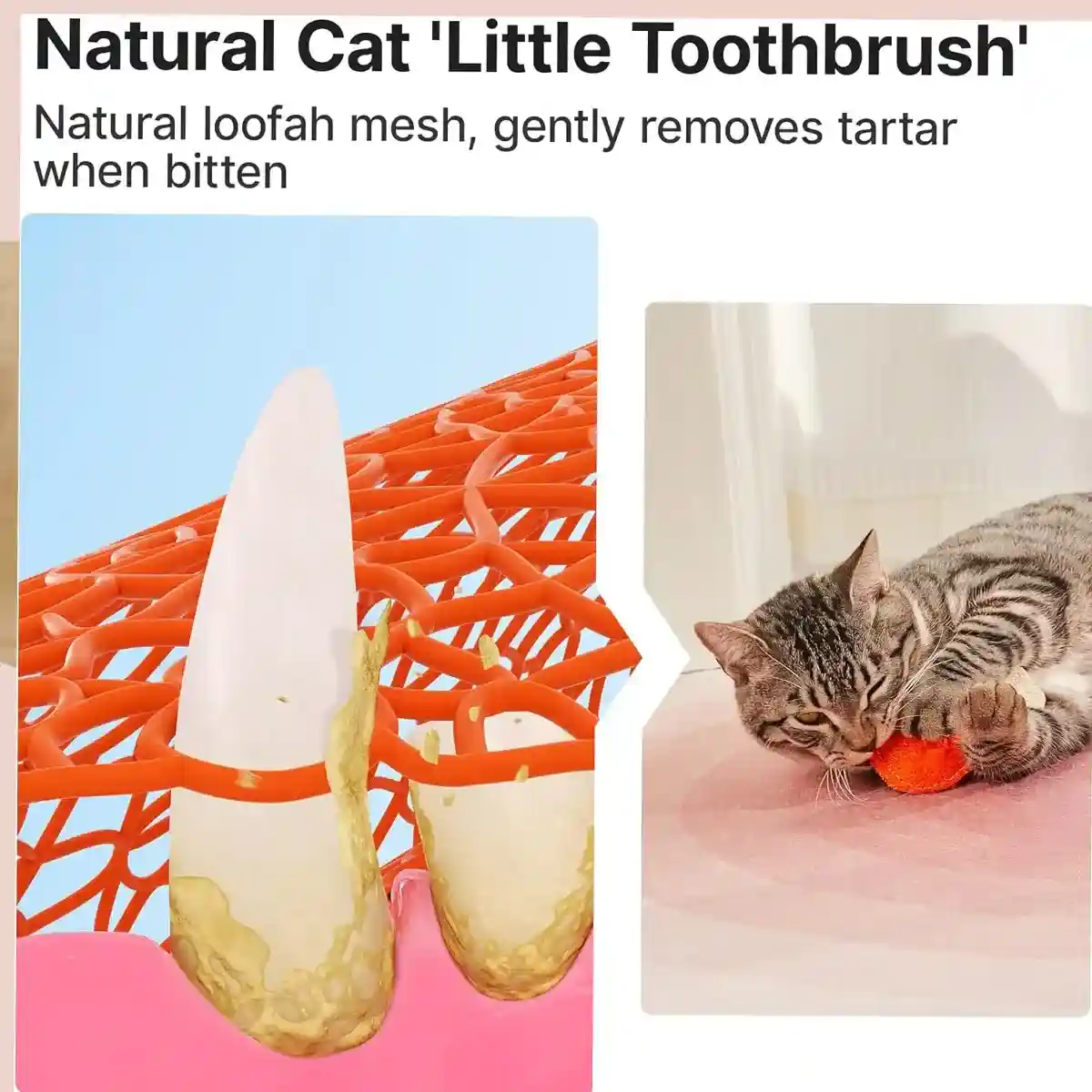 Natural Loofah Cat Toy Set with Catnip 3PCS Bite-Safe Chew Toys - Image 7