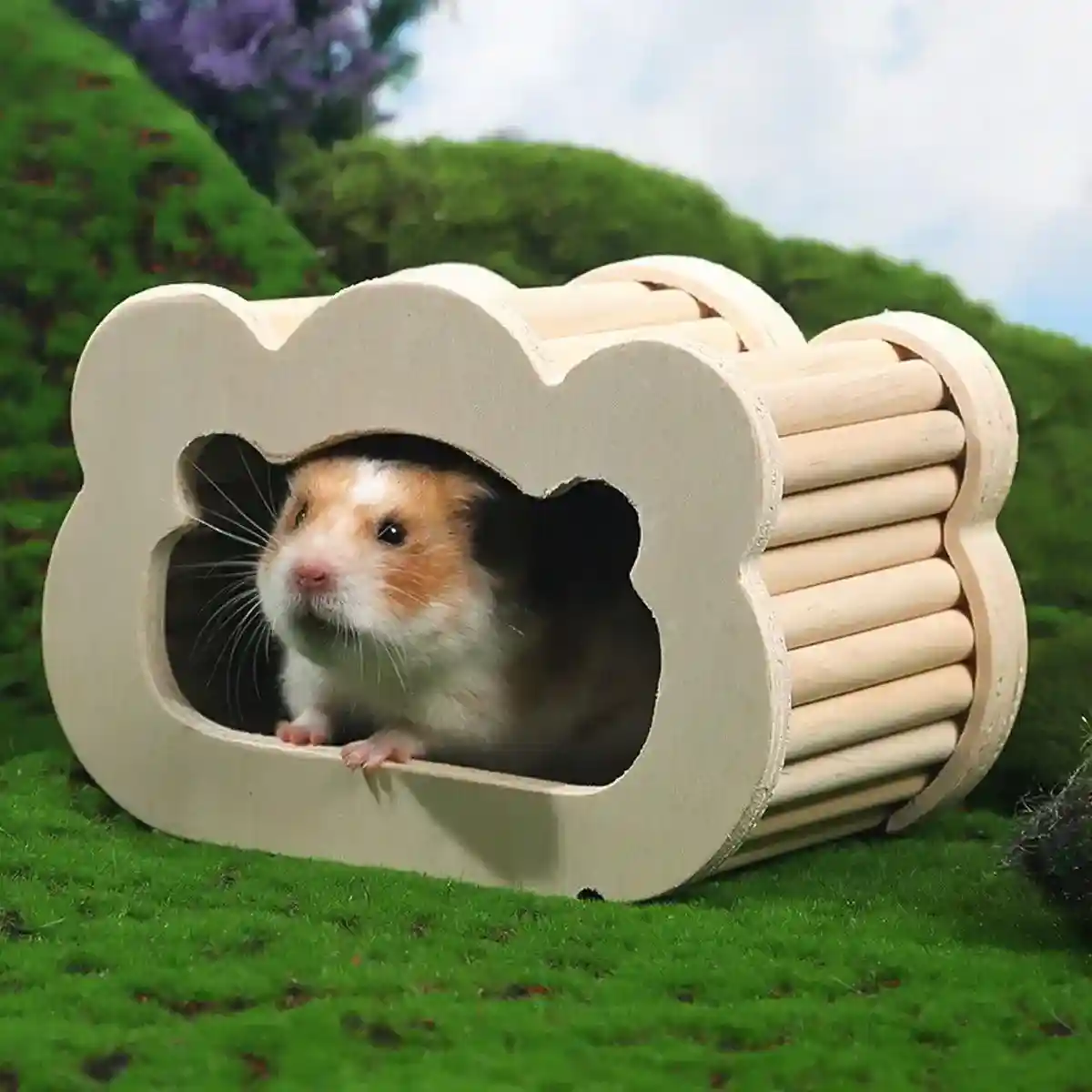 Magnetic Mouse House Wooden Hamster Hideout with Visible Design - Image 11