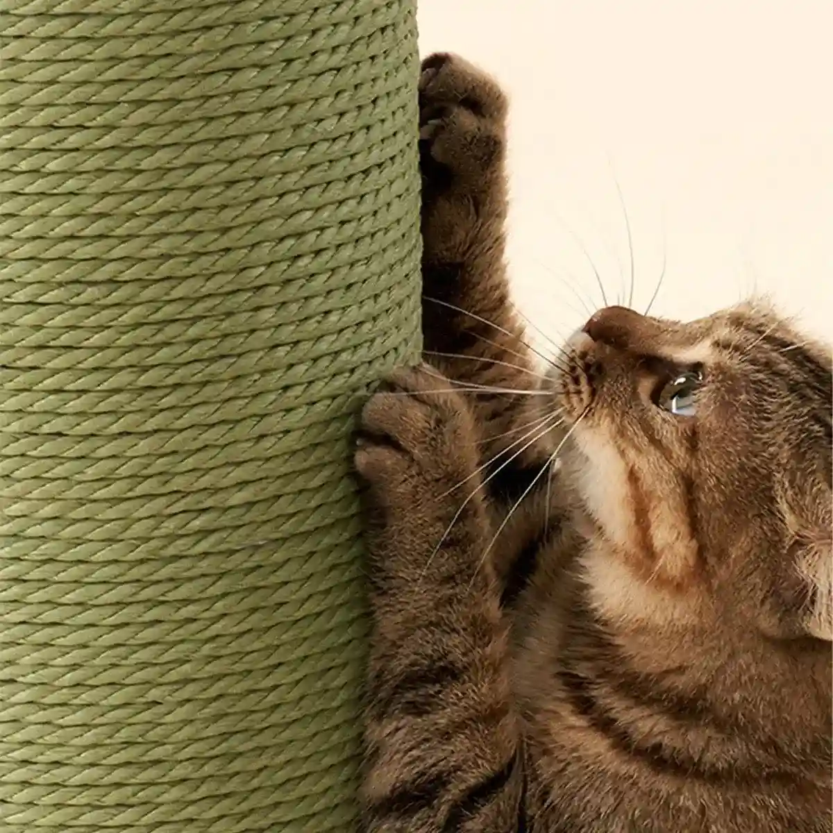 Makesure Nino Cat Scratching Post - Image 10