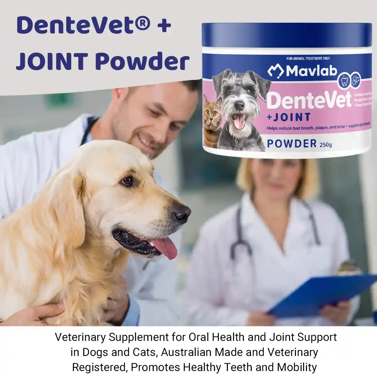 Mavlab DenteVet + Joint Powder – Dental & Joint Support For Pets - Image 9