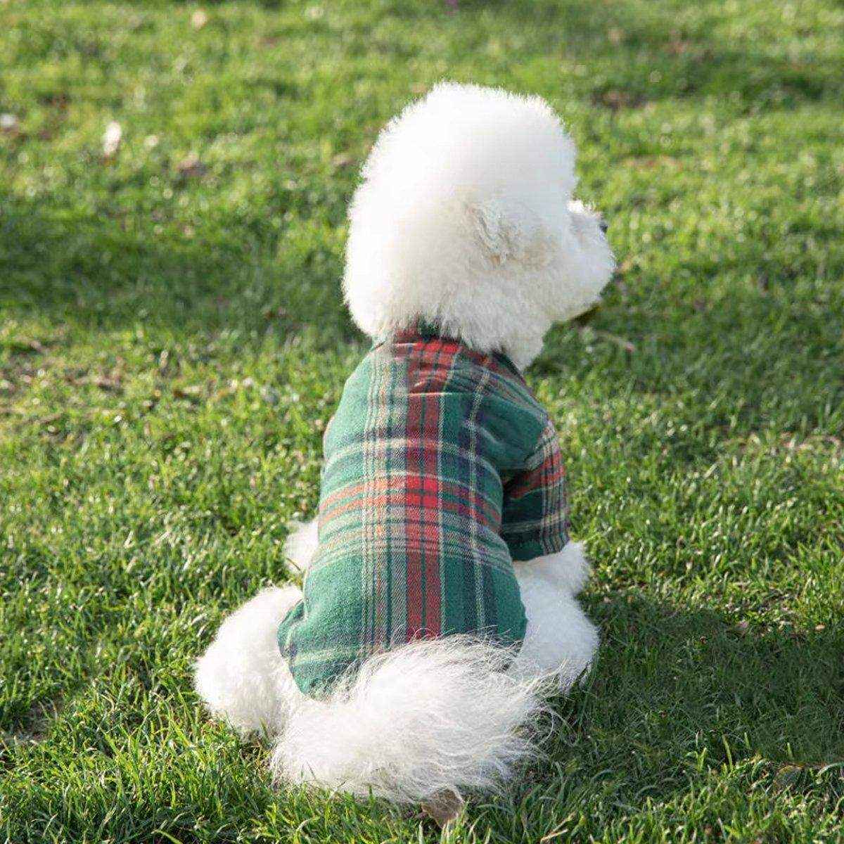 Medium And Large Dog Dog Cat Corgi Chai Dog Shirt Suit Dress - Image 4
