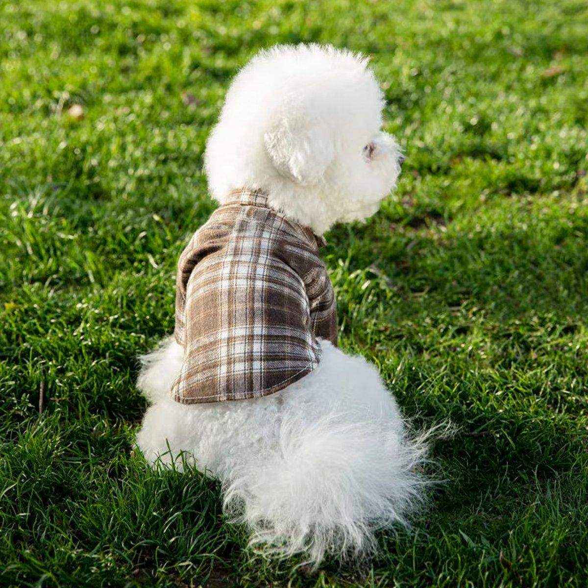Medium And Large Dog Dog Cat Corgi Chai Dog Shirt Suit Dress - Image 6