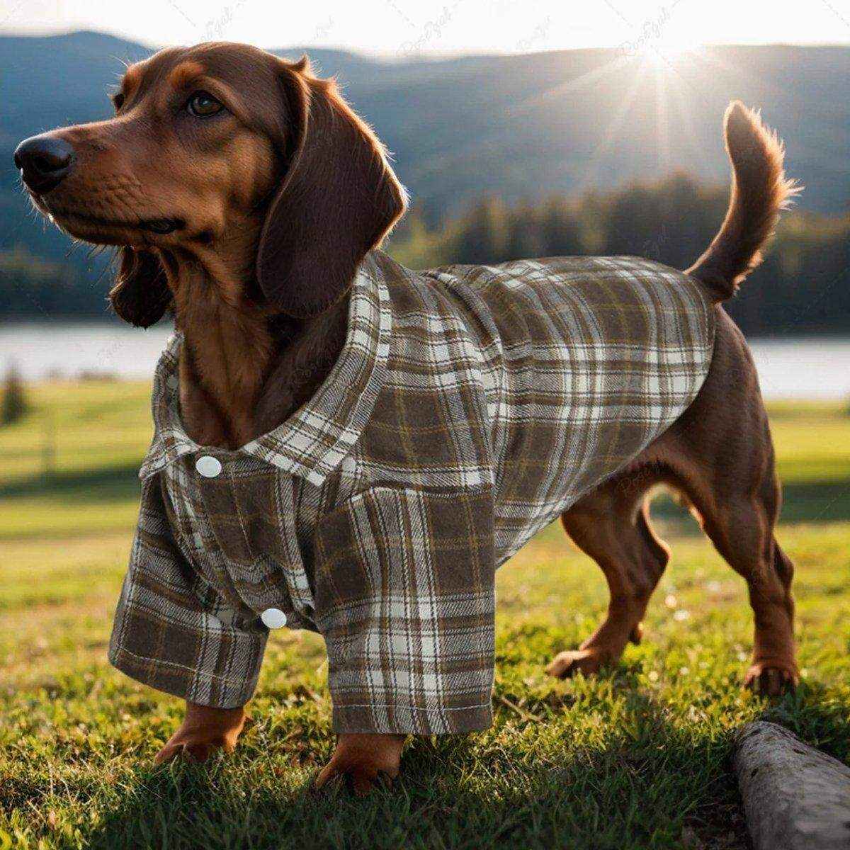 Medium And Large Dog Dog Cat Corgi Chai Dog Shirt Suit Dress - Image 8