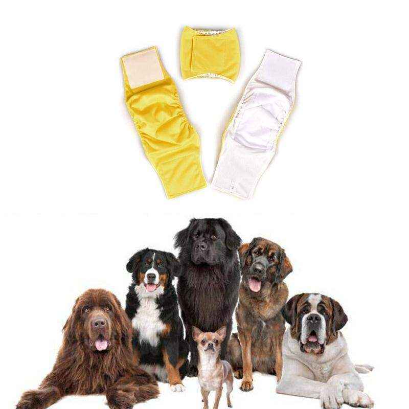 Comfortable Menstrual Pants for Dogs with Breathable Cotton Design - Image 10