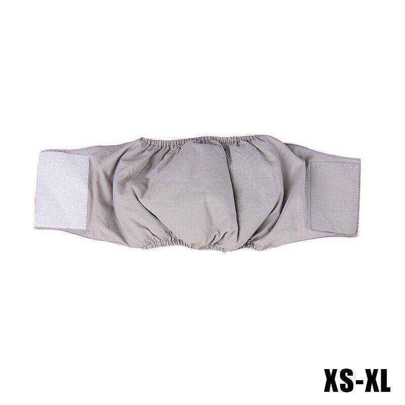 Comfortable Menstrual Pants for Dogs with Breathable Cotton Design - Image 14