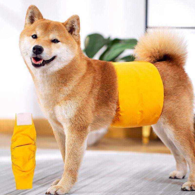 Comfortable Menstrual Pants for Dogs with Breathable Cotton Design - Image 7