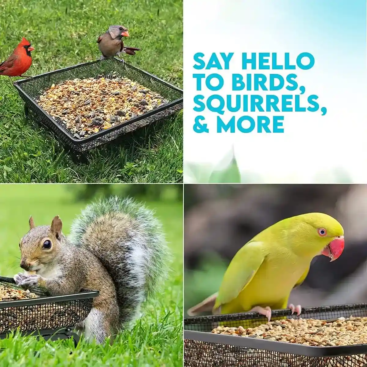 Rust-Resistant Outdoor Tray with Square Metal Bird Feeder Design - Image 8