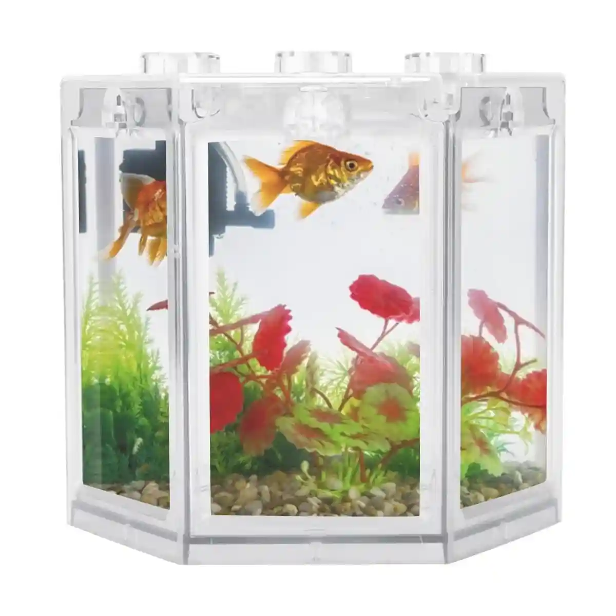 Mini Fish Tank Clear Desktop Aquarium for Betta & Small Fish - Image 10