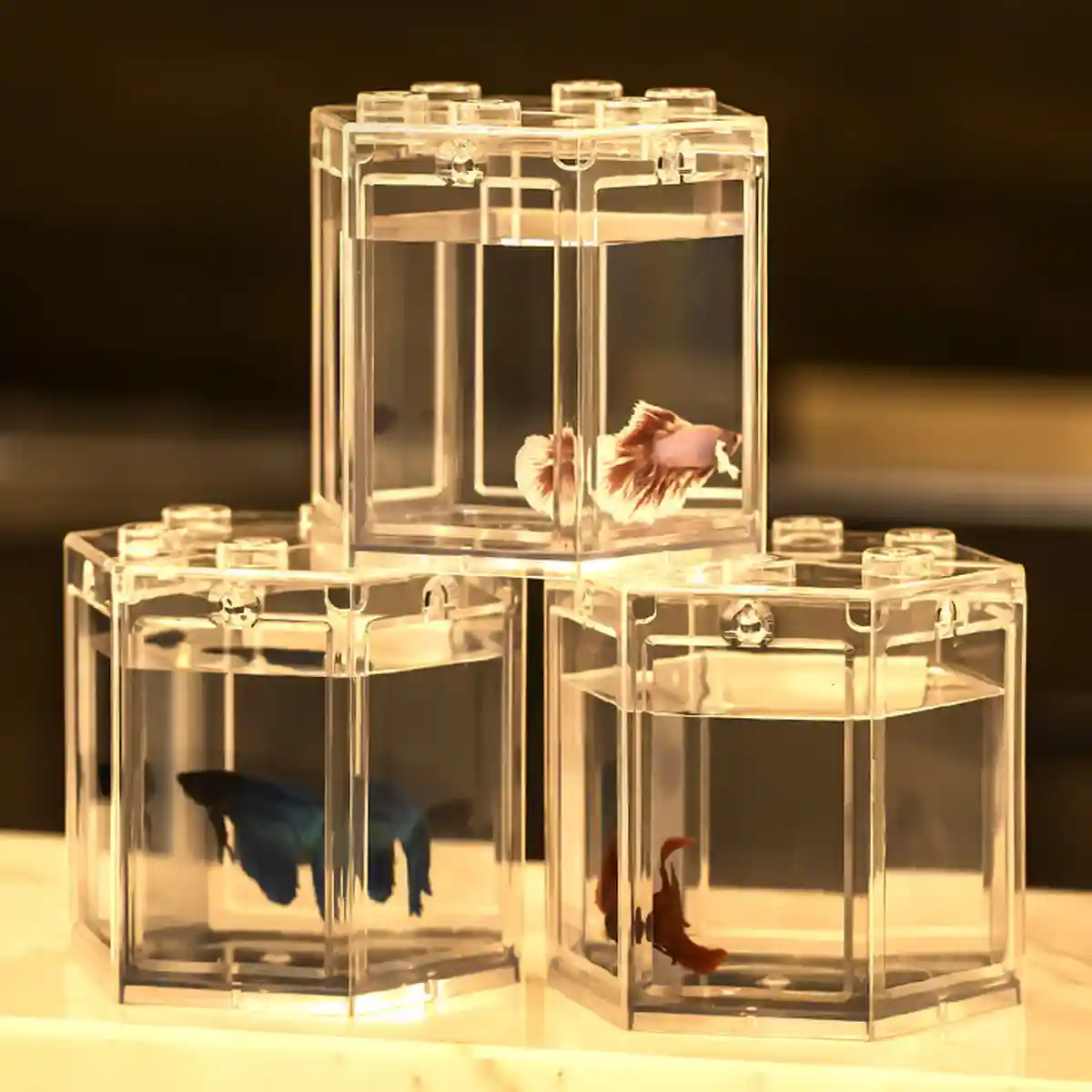 Mini Fish Tank Clear Desktop Aquarium for Betta & Small Fish - Image 12