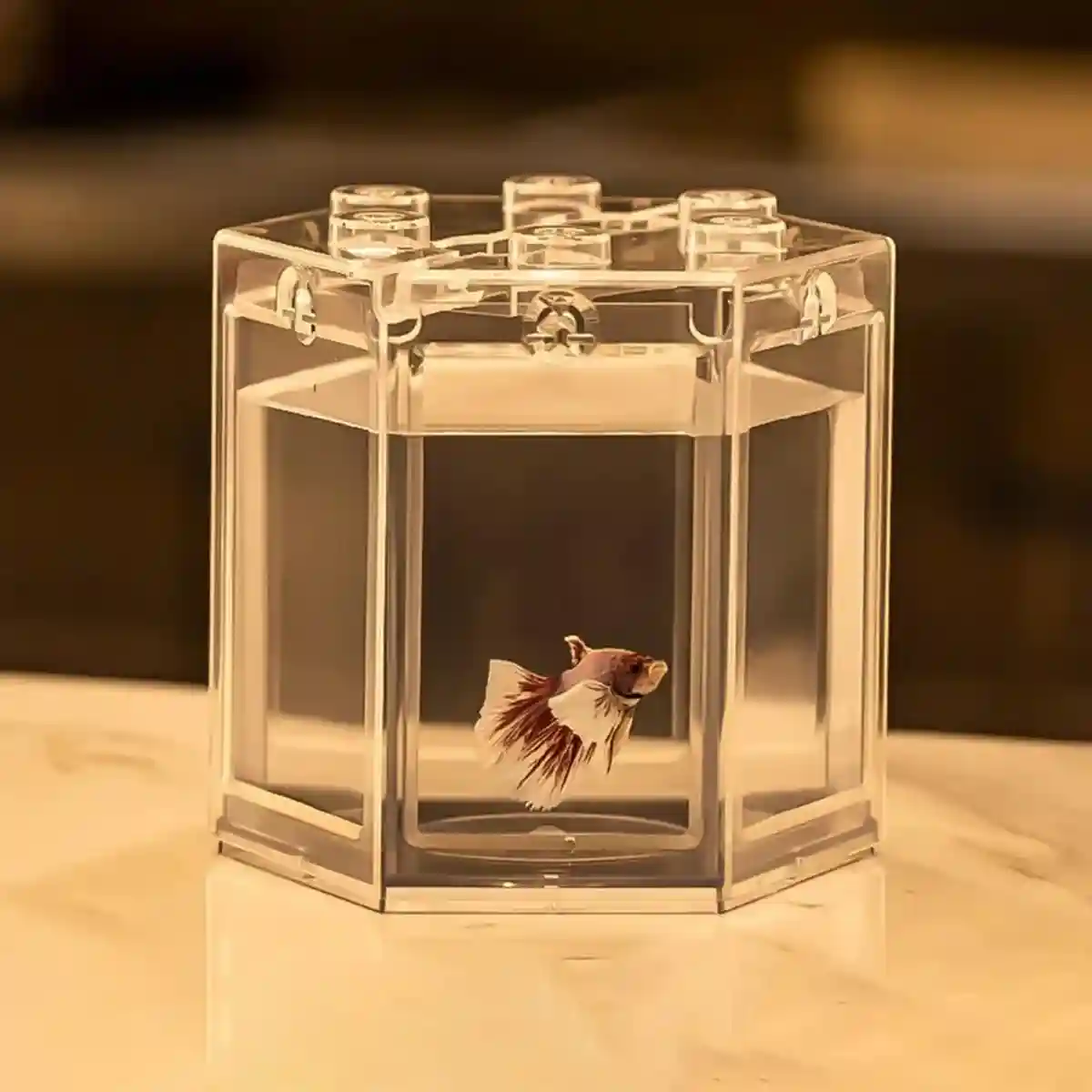 Mini Fish Tank Clear Desktop Aquarium for Betta & Small Fish - Image 4