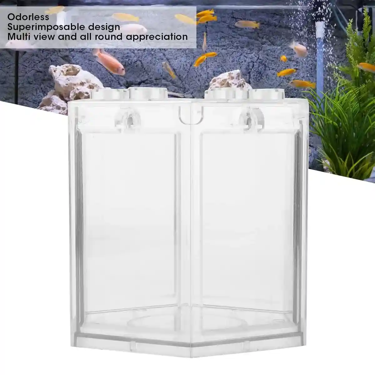 Mini Fish Tank Clear Desktop Aquarium for Betta & Small Fish - Image 5