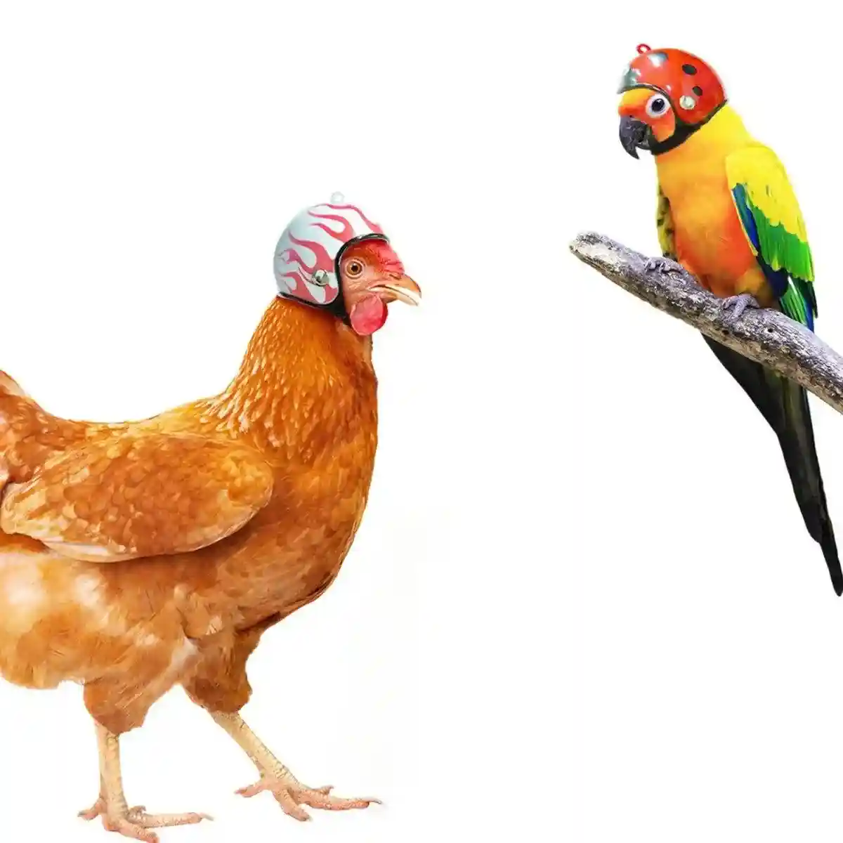 2PCS Mini Pet Chicken Helmet Protective Headgear Set - Image 7
