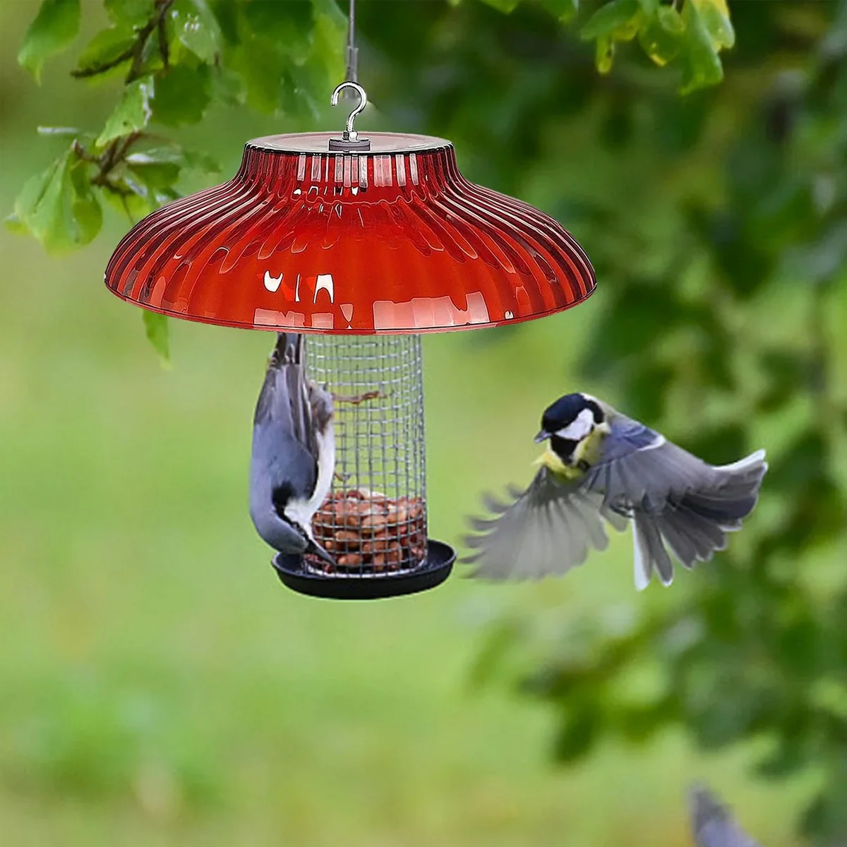 Moisture-proof Bird Feeder Rain Cover - Image 11