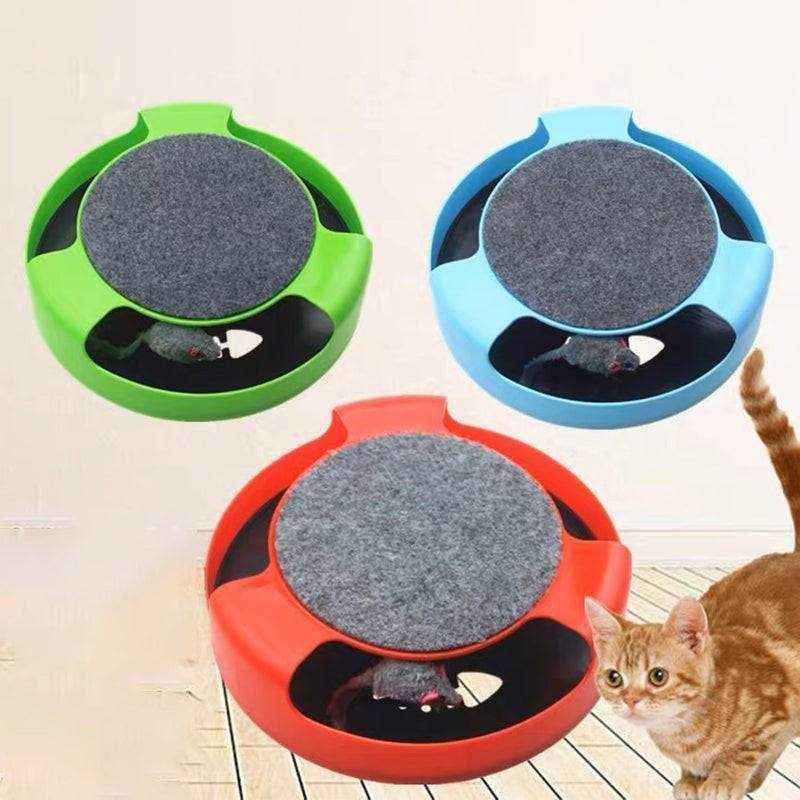 Motion Kitten Cat Toy 3 Colours 26x26x7cm - Image 12