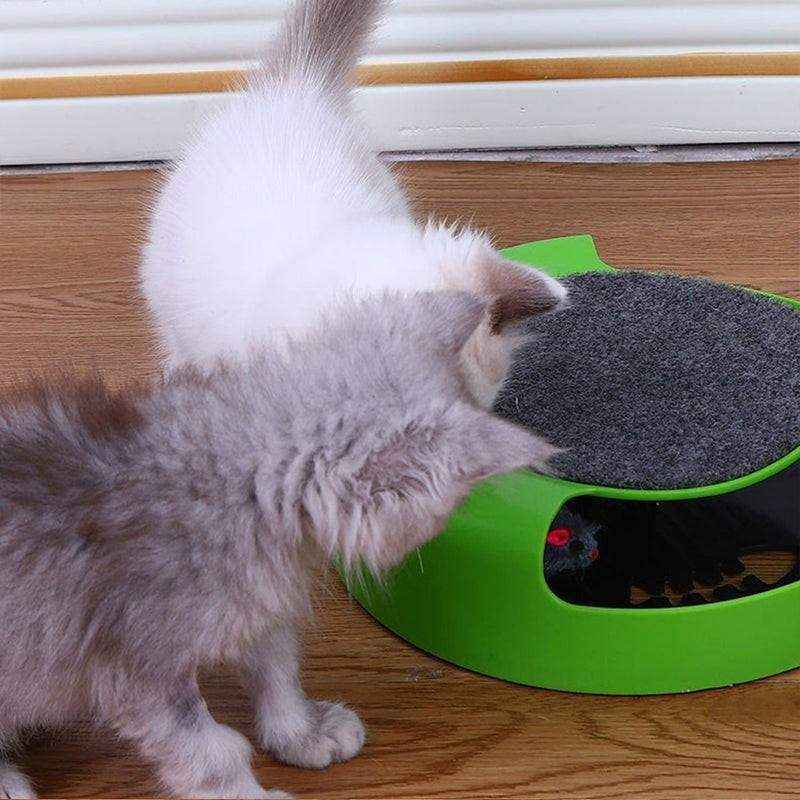 Motion Kitten Cat Toy 3 Colours 26x26x7cm - Image 7