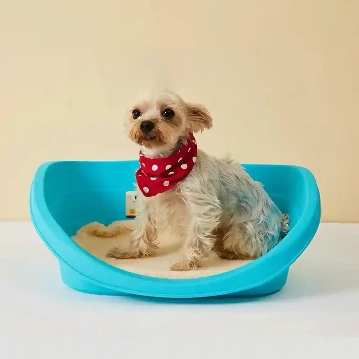 Multi-Purpose Pet Kennel Dog & Cat House with Cotton Pad - Image 7
