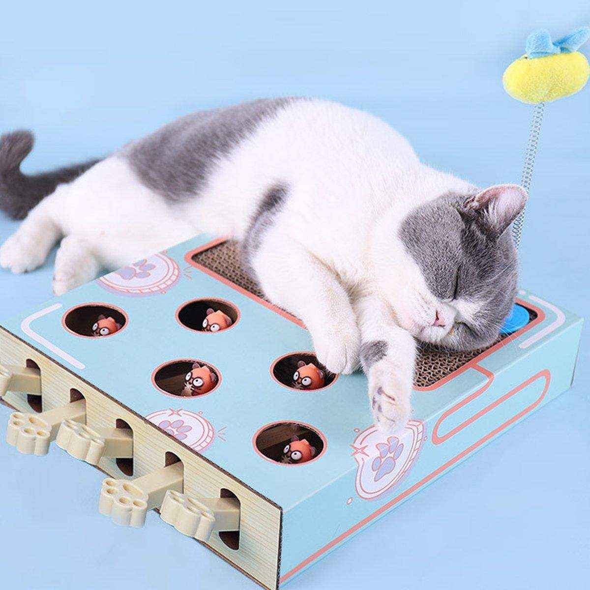 Multifunctional Interactive Cat Toys Corrugated Scratch Board for Cats - Image 5
