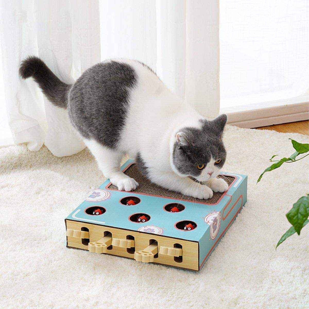 Multifunctional Interactive Cat Toys Corrugated Scratch Board for Cats - Image 8