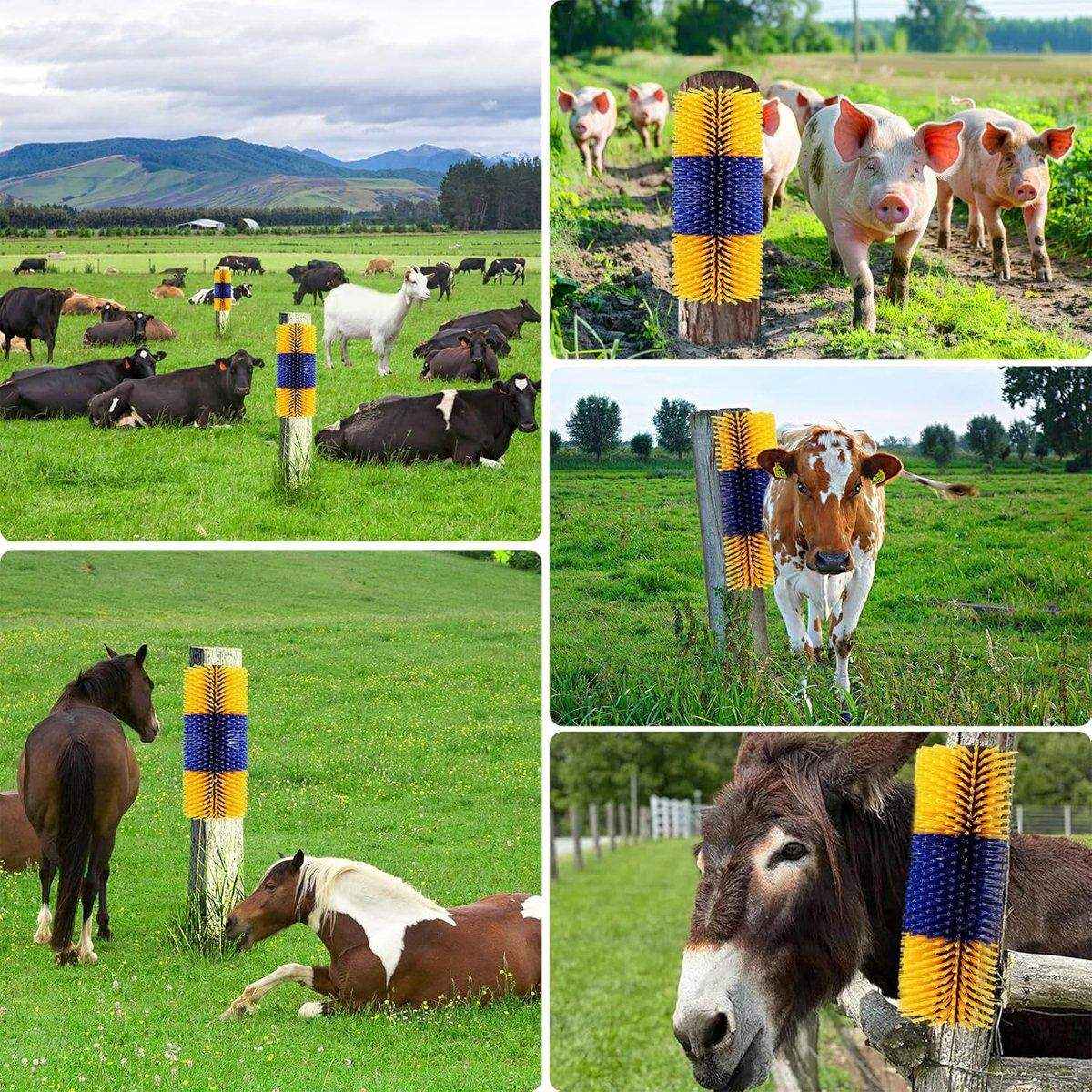 Multifunctional Livestock Brush Nylon Bristles for Horses Cows & Goats - Image 5