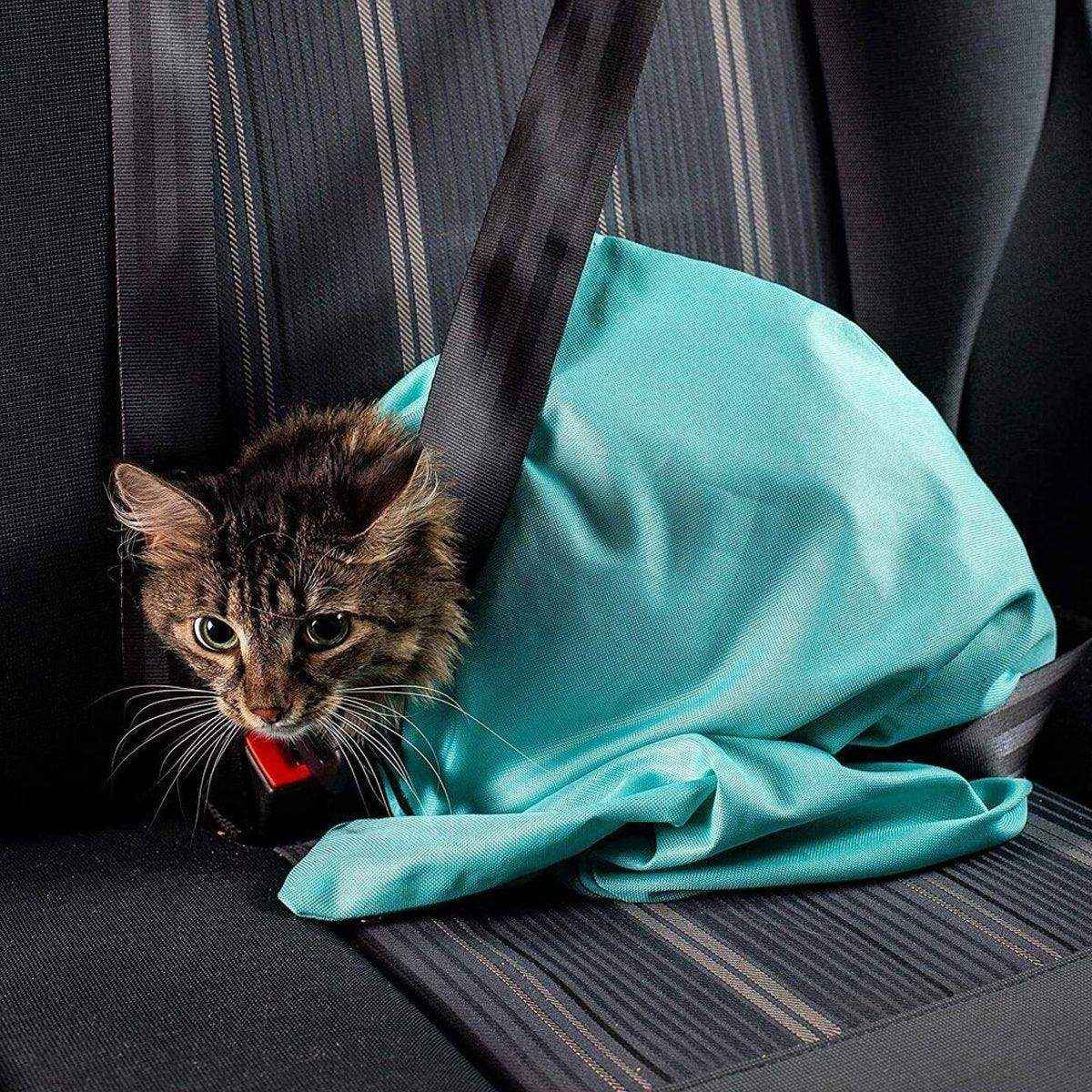 Multifunctional Pet Grooming Shoulder Bag for Cats Durable Nylon Design - Image 4