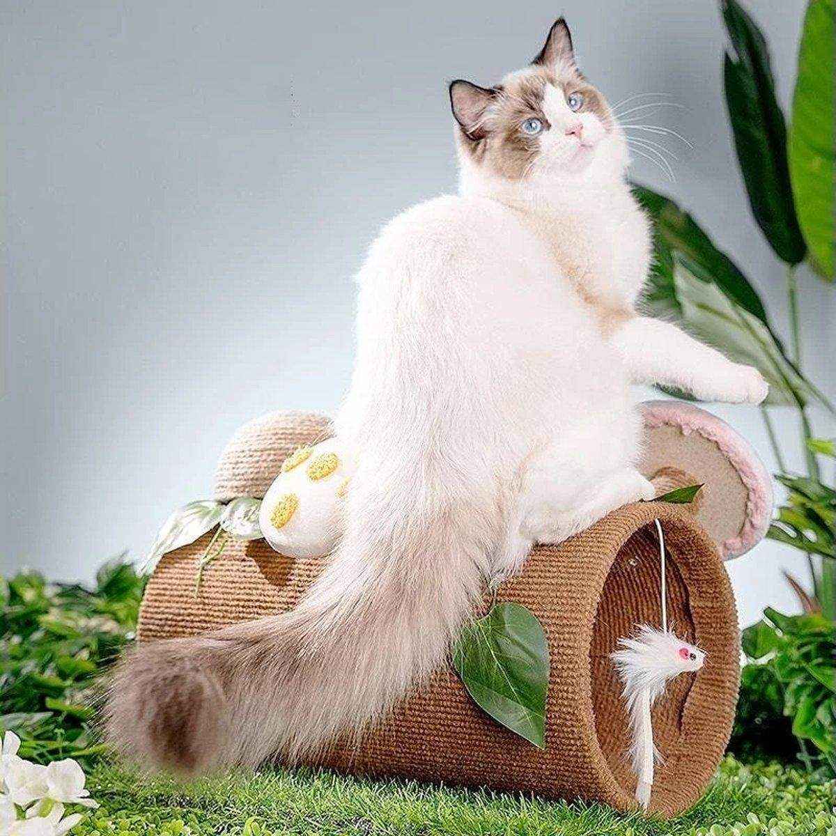 Multifunctional Sisal Cat Scratching Board Tunnel for Play and Rest - Image 9