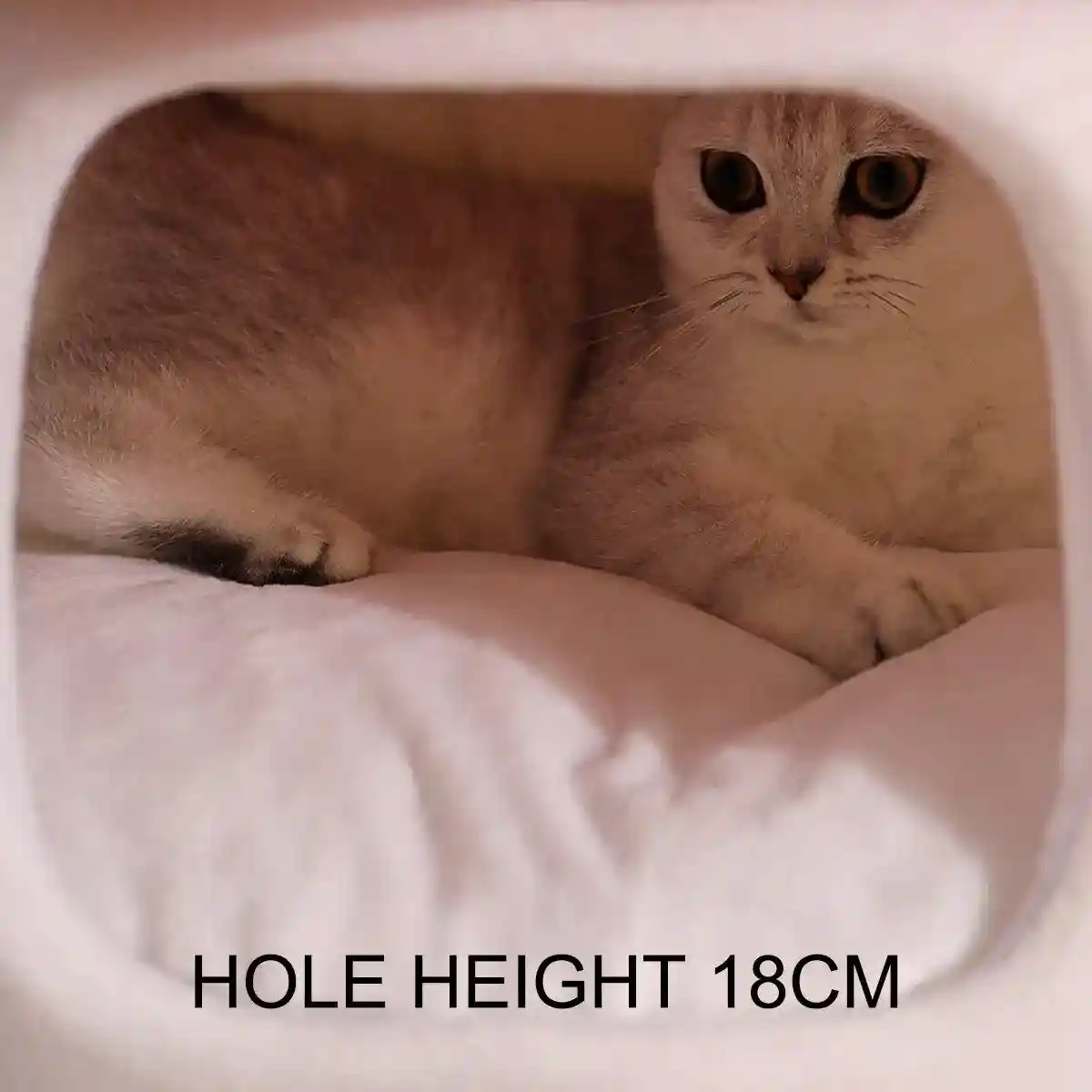 Mushroom Cat Kennel Cosy & Stylish Pet Bed for Cats and Small Animals - Image 7