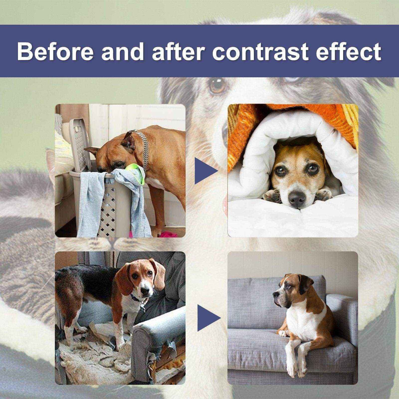 Pet Bitter Anti-Bite Spray Expulsion Dog Chewing Table And Chair Leg Scratching Sofa Spray - Image 10