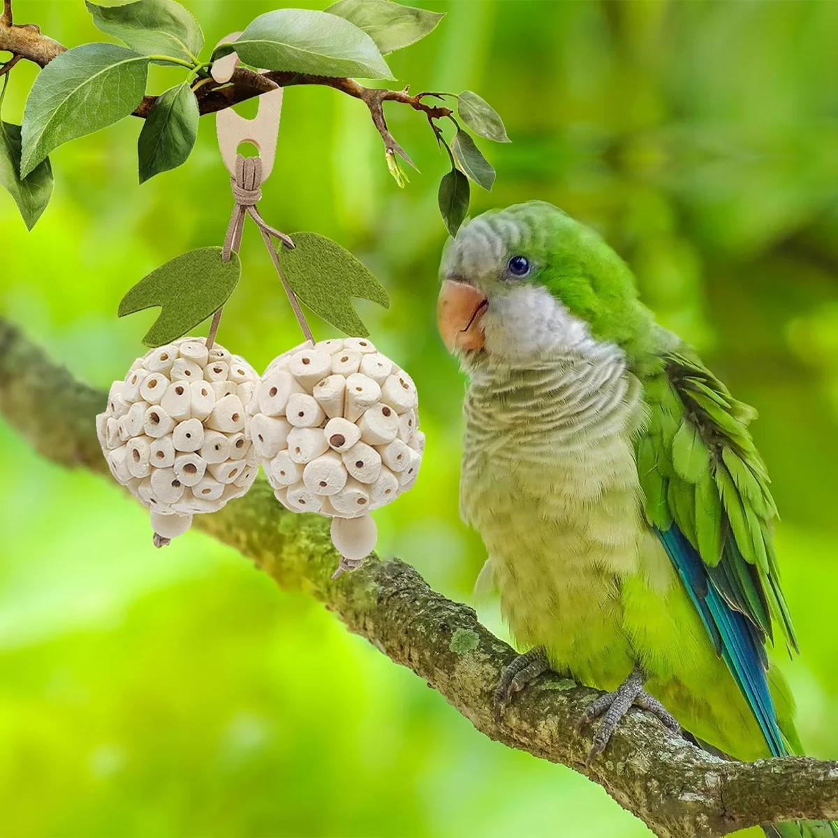 Natural Chewing Ball Bird Toy - Image 11