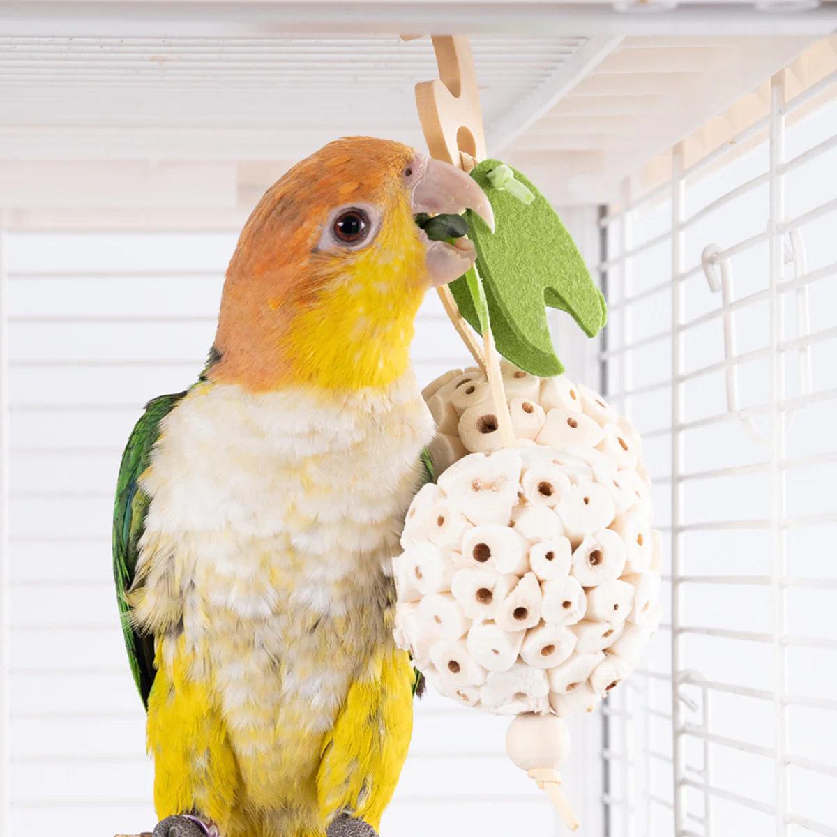 Natural Chewing Ball Bird Toy - Image 9