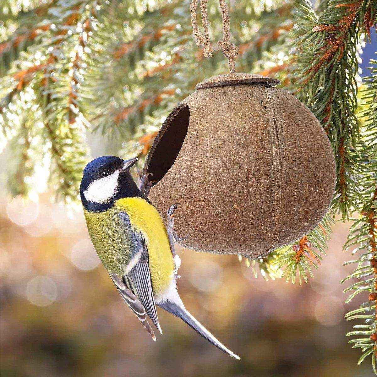 Natural Coconut Shell Bird Nest Safe & Cozy Bird House - Image 9