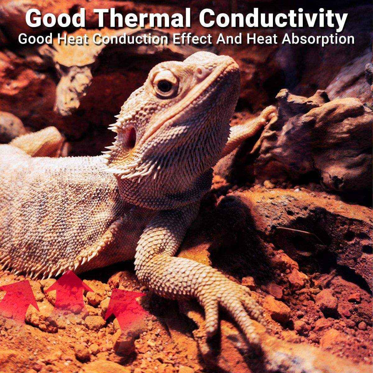 Natural Desert Bedding for Reptiles Safe & Dust-Free - Image 12