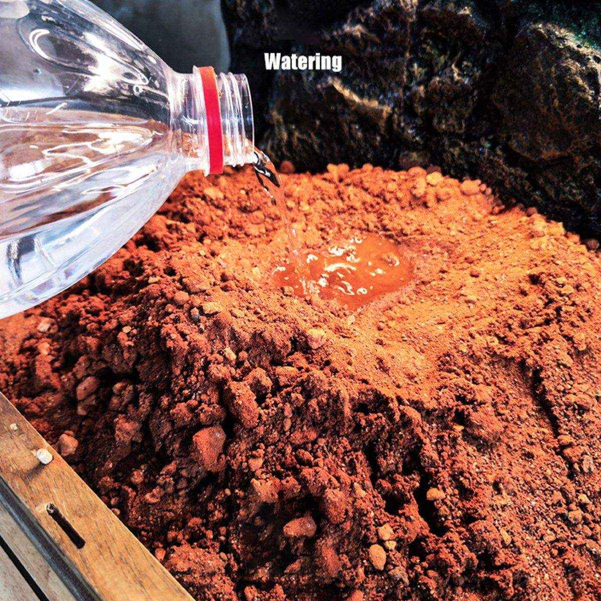 Natural Desert Bedding for Reptiles Safe & Dust-Free - Image 7