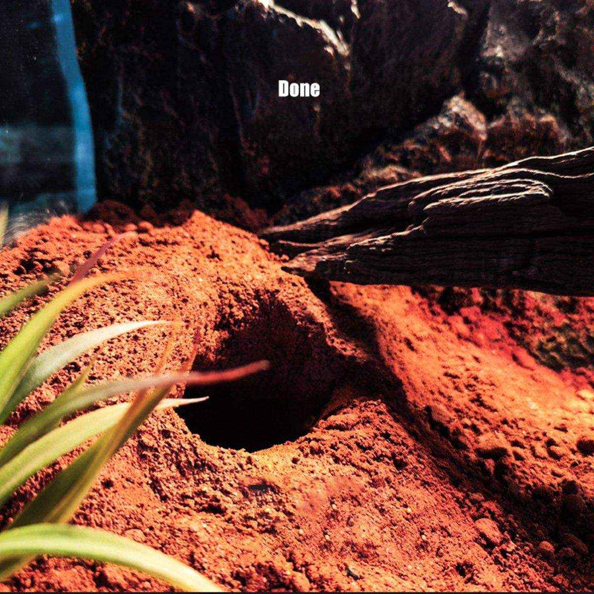 Natural Desert Bedding for Reptiles Safe & Dust-Free - Image 9