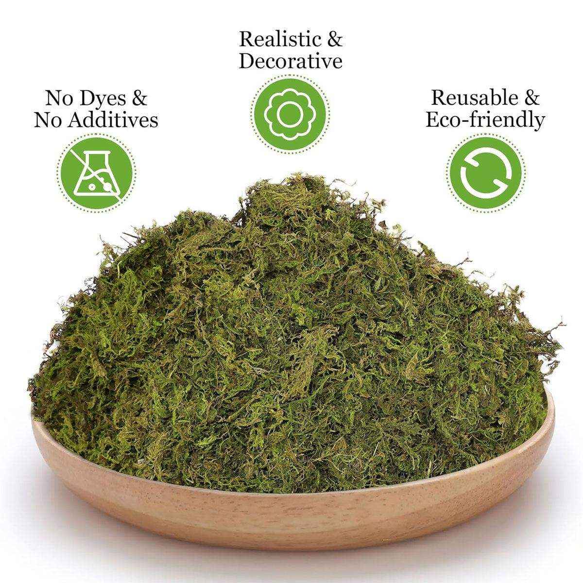 Natural Dry Moss for Hamsters & Reptiles Soft Bedding & Landscaping (100g) - Image 10